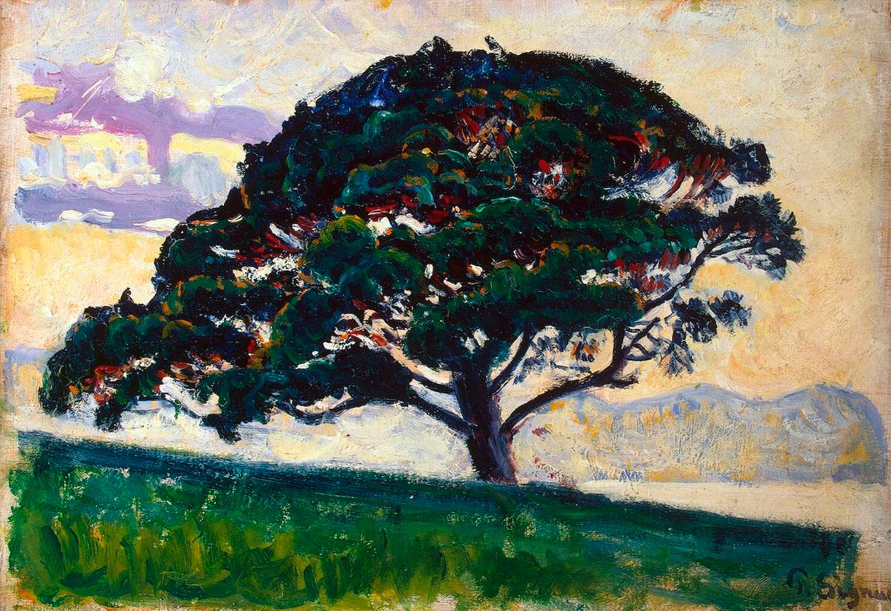 Nagy fenyő, Saint-Tropez, 1892-1893. alkotó: Paul Signac