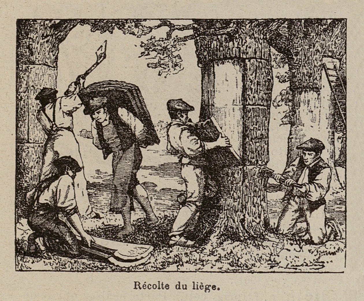  alkotó: Paul de Laubadere
