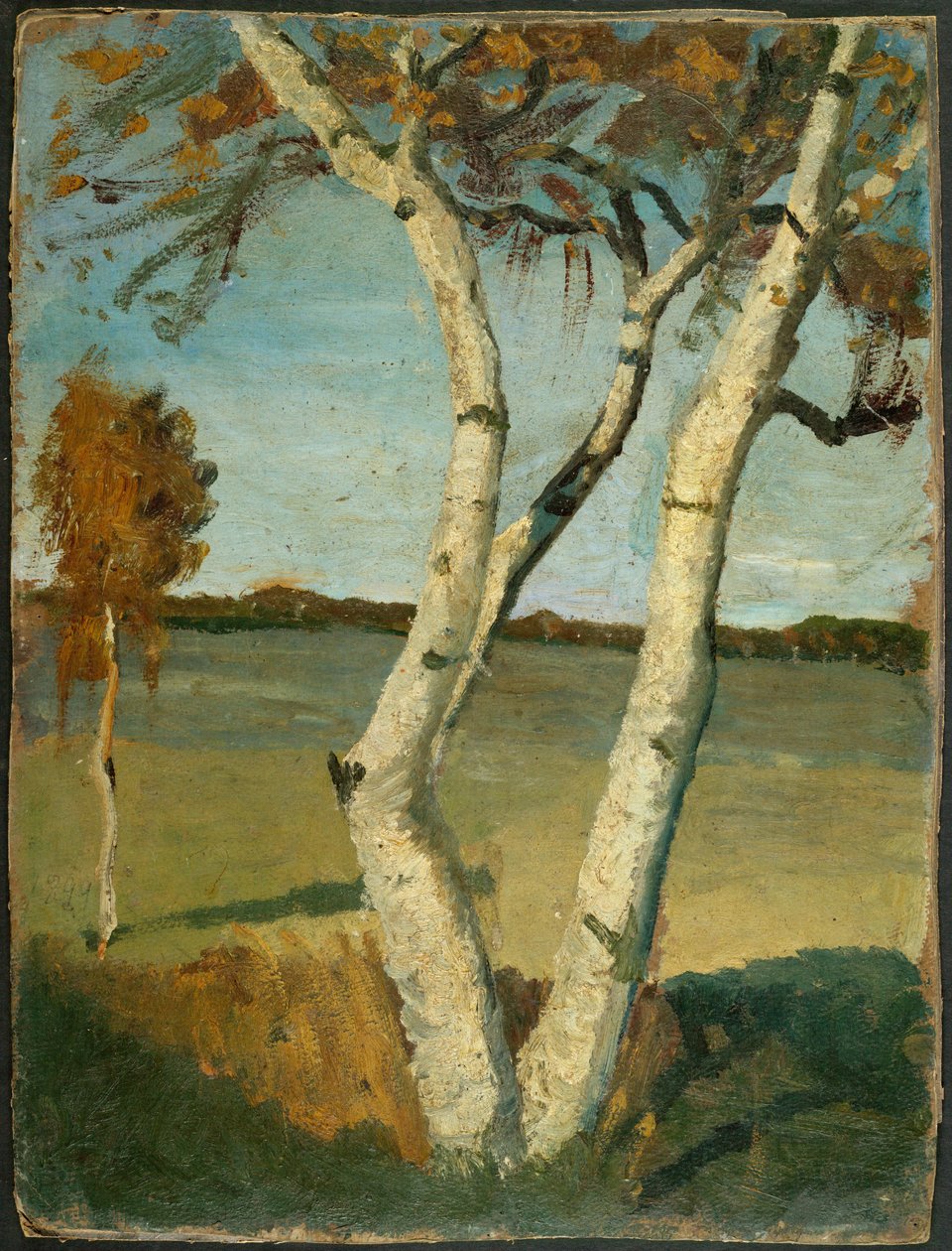 Német: Két törzsű nyírfa egy tájkép előtt Nyírfa egy tájképben alkotó: Paula Modersohn Becker