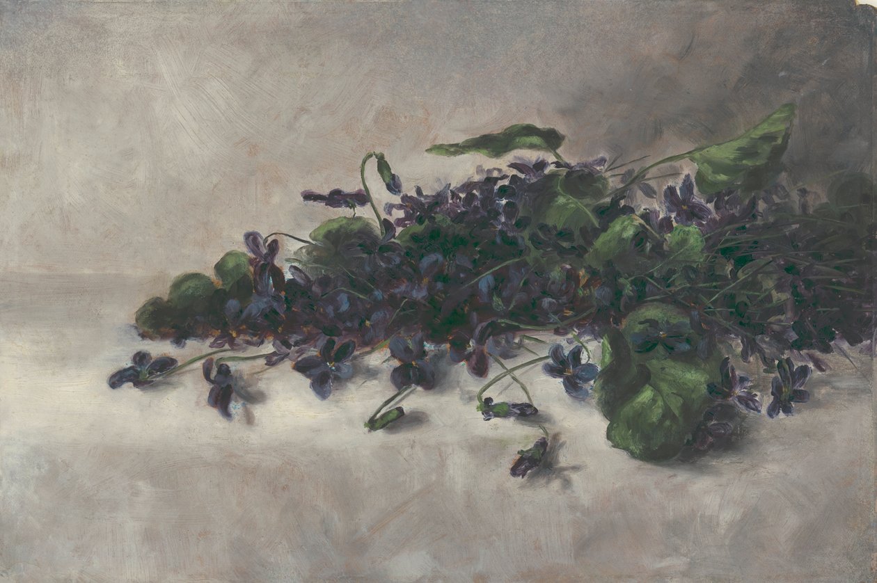 Ibolya, kb. 1890. alkotó: Pauline Powell Burns