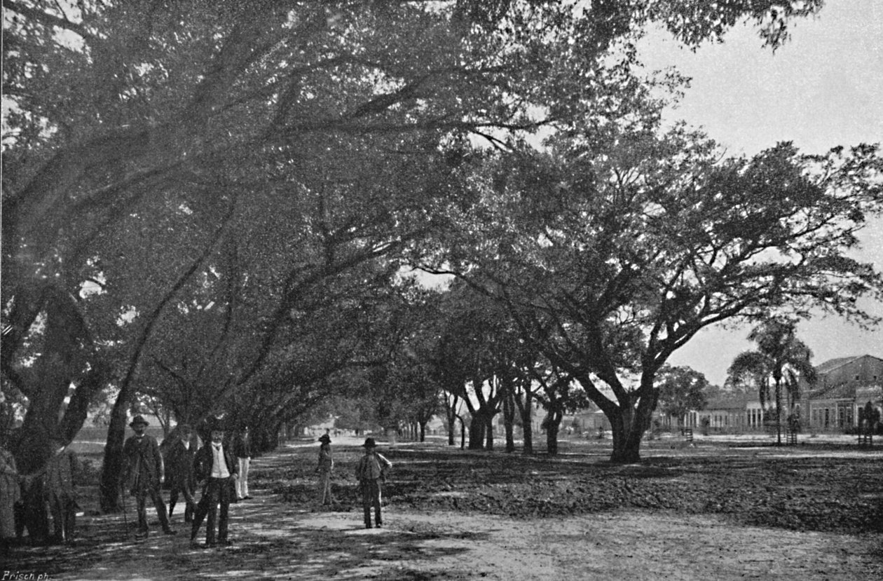 Avenida de Tiradentes, 1895 alkotó: Paulo Kowalsky