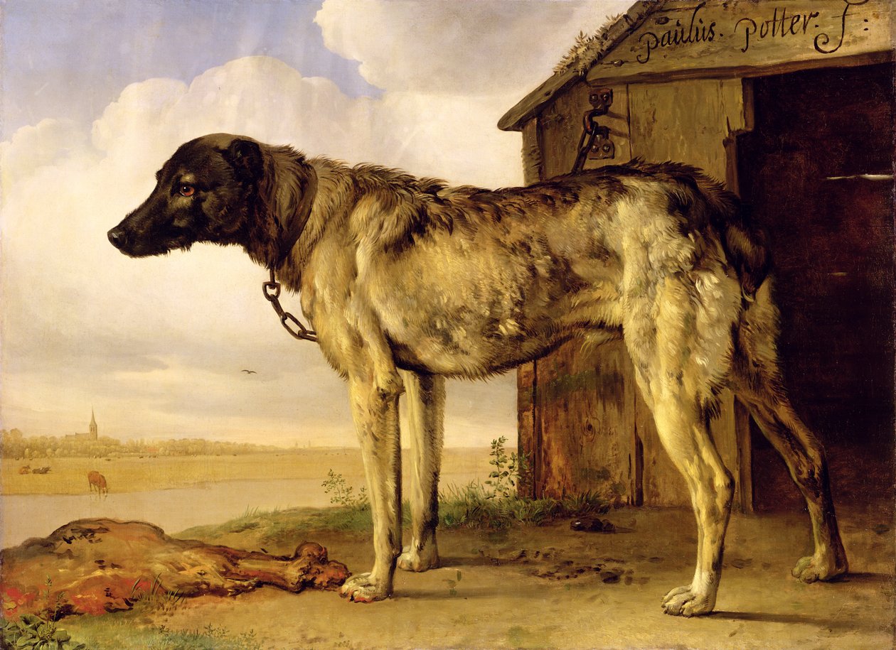 Kutya láncon, 1653-4 alkotó: Paulus Potter