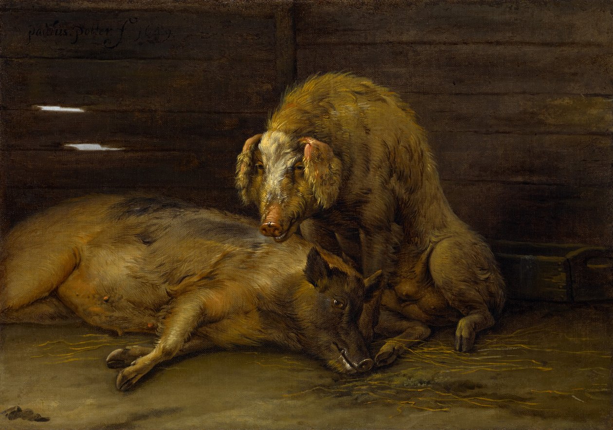 Két disznó az ólban, 1649 alkotó: Paulus Potter