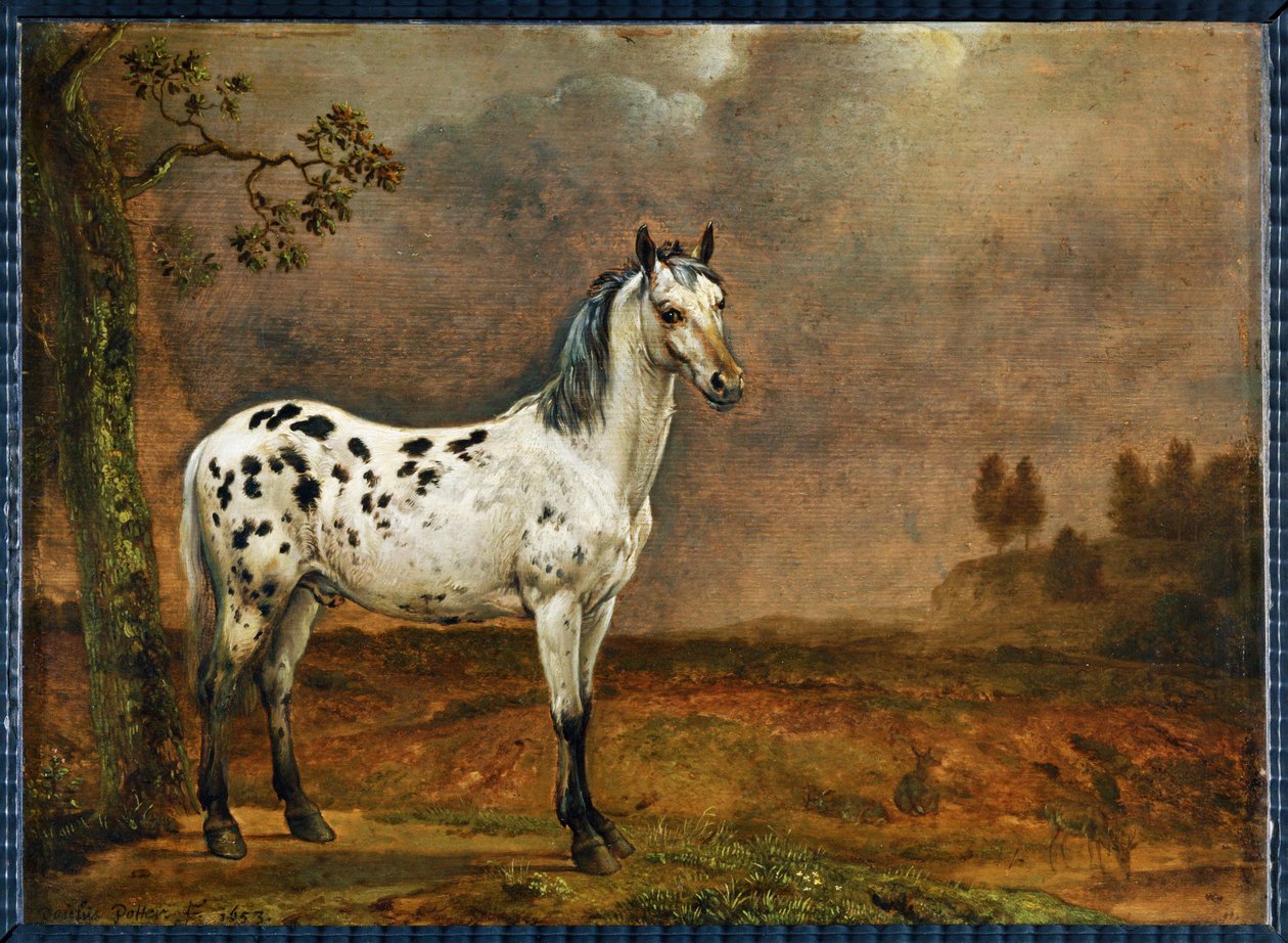 Le cheval pie - a pettyes ló ... alkotó: Paulus (attr.to) Potter