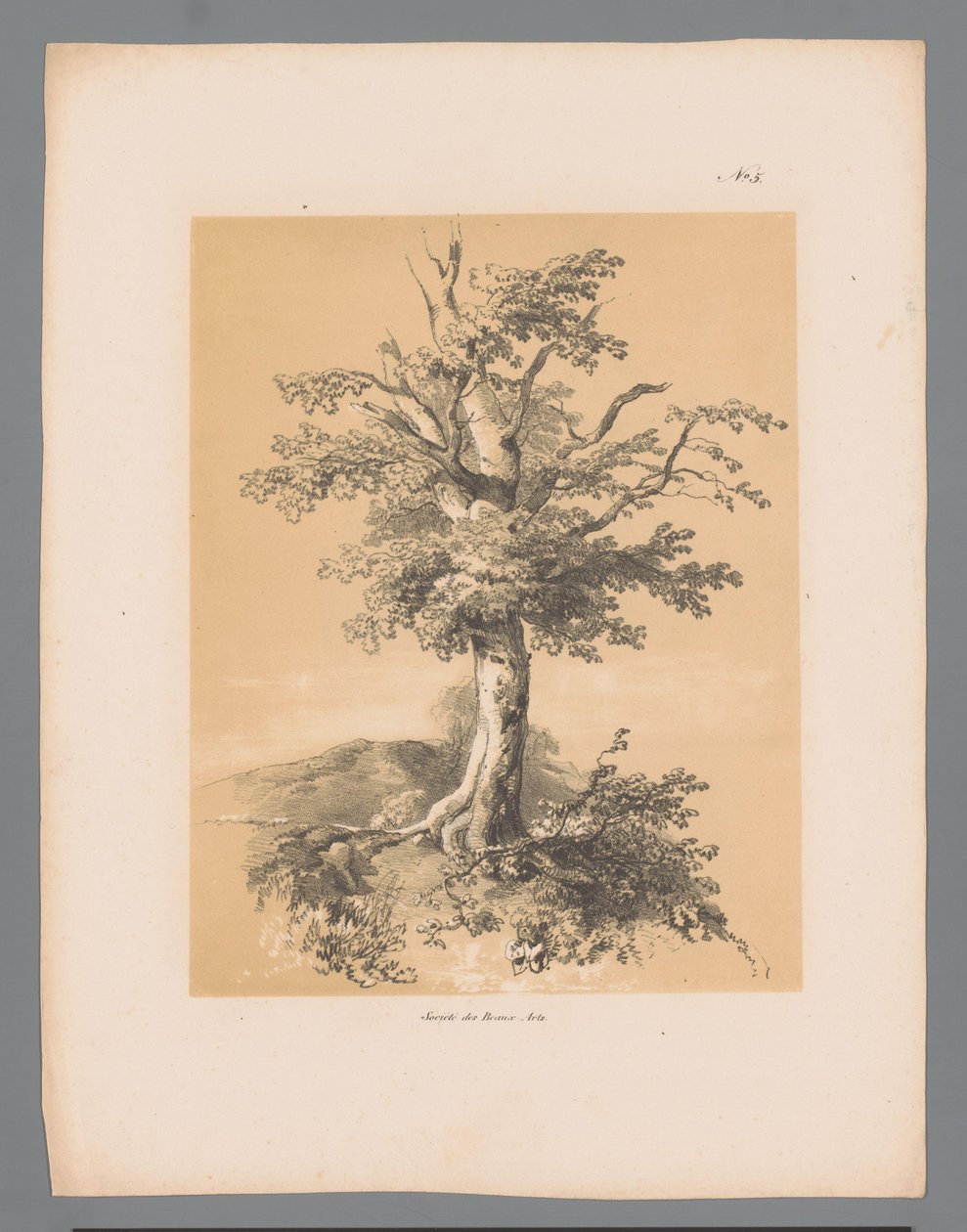 Bumm Paulus Lauters festői arcai (sorozat címe) Etrennes pittoresques pour 1839, Lauters (sorozat címe) alkotó: Paulus Lauters