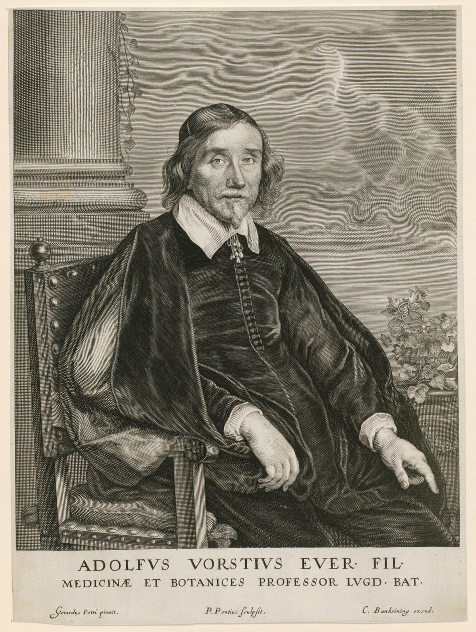 Adolph Vorst, leideni professzor portréja alkotó: Paulus Pontius