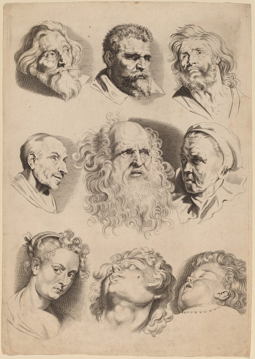 Kilenc fej alkotó: Paulus Pontius after Sir Peter Paul Rubens