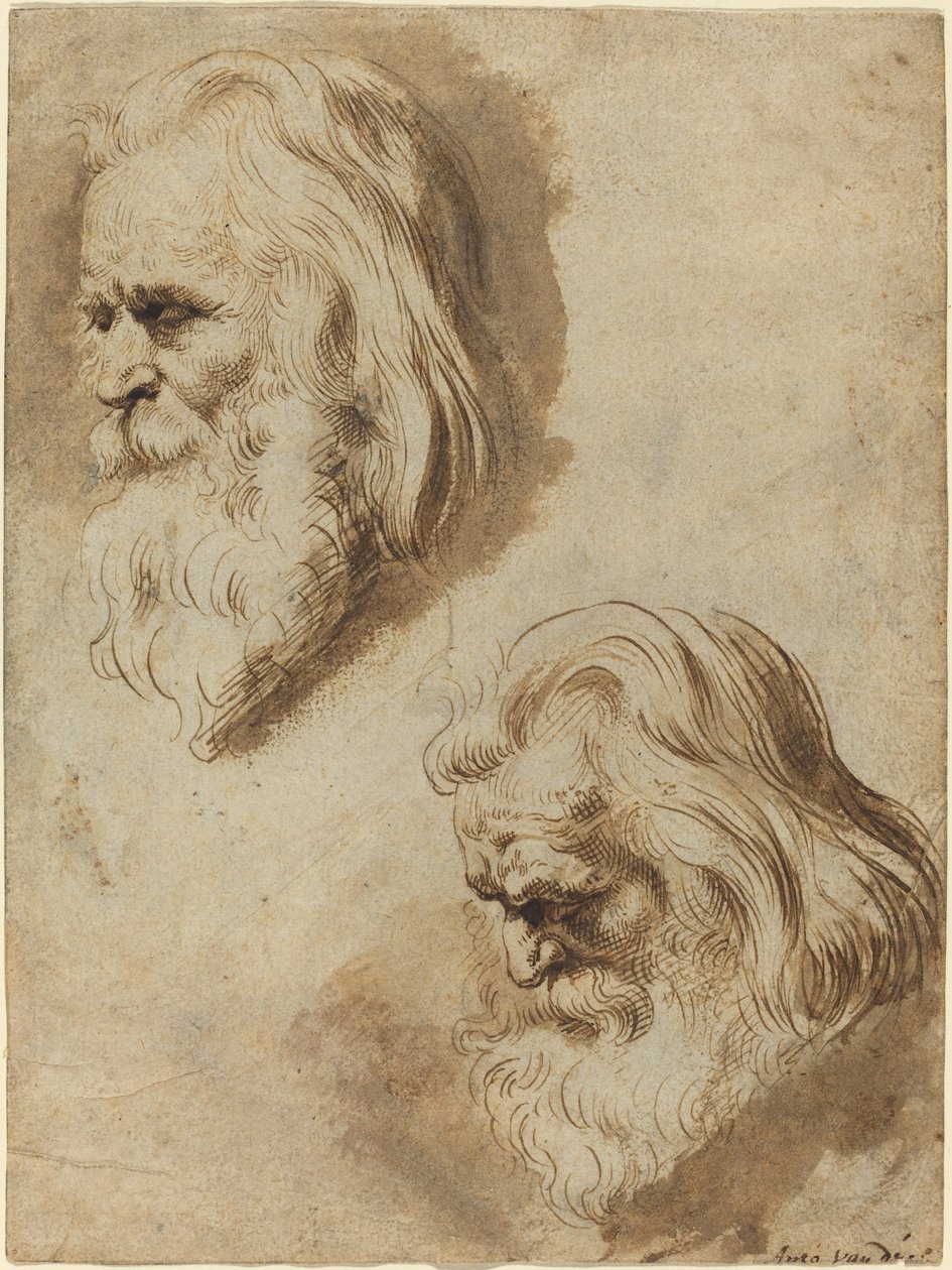 Két tanulmány egy idős férfi fejéről alkotó: Paulus Pontius after Sir Peter Paul Rubens