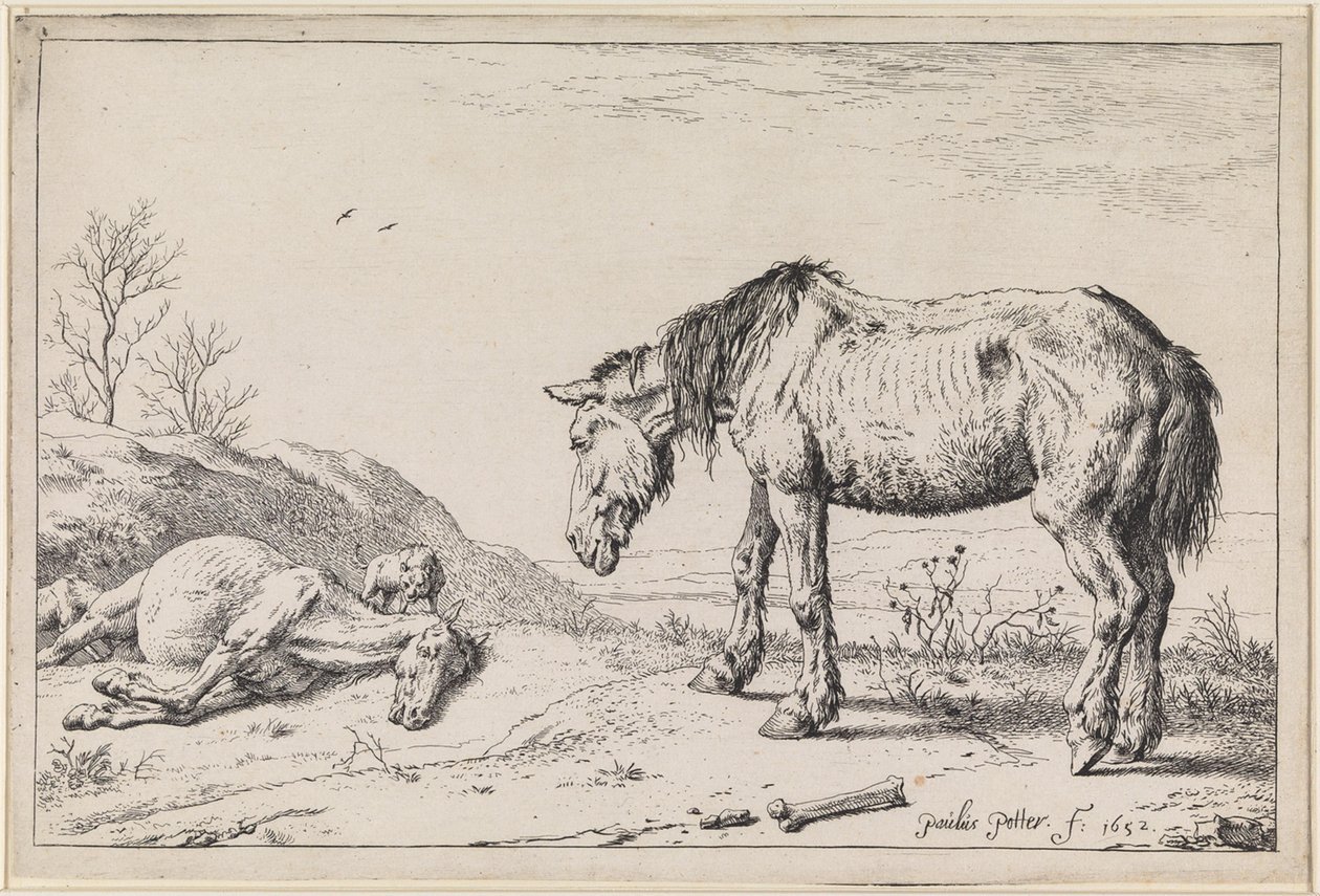 Elcsigázott lovak alkotó: Paulus Potter