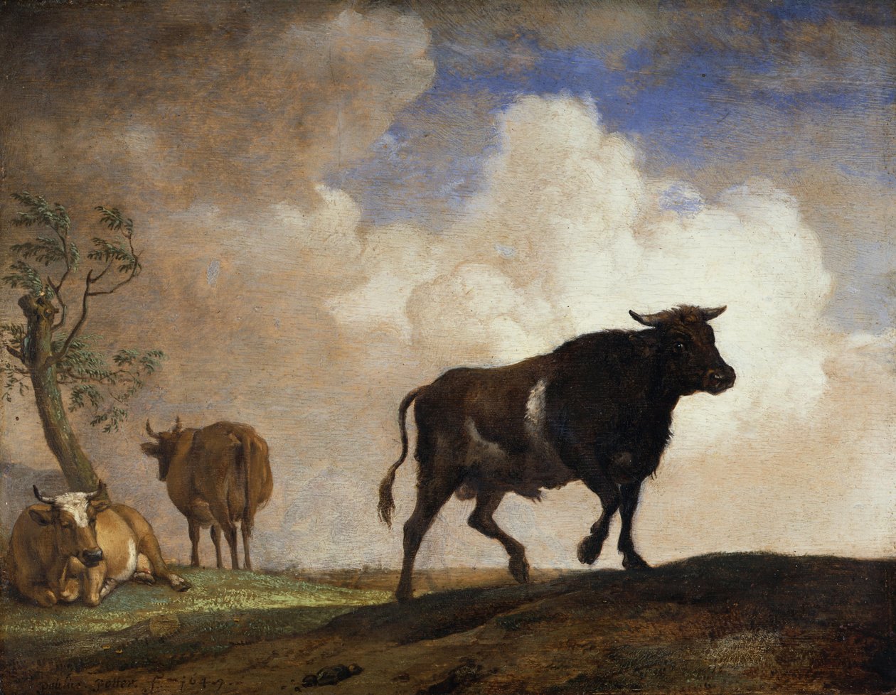 A bika alkotó: Paulus Potter