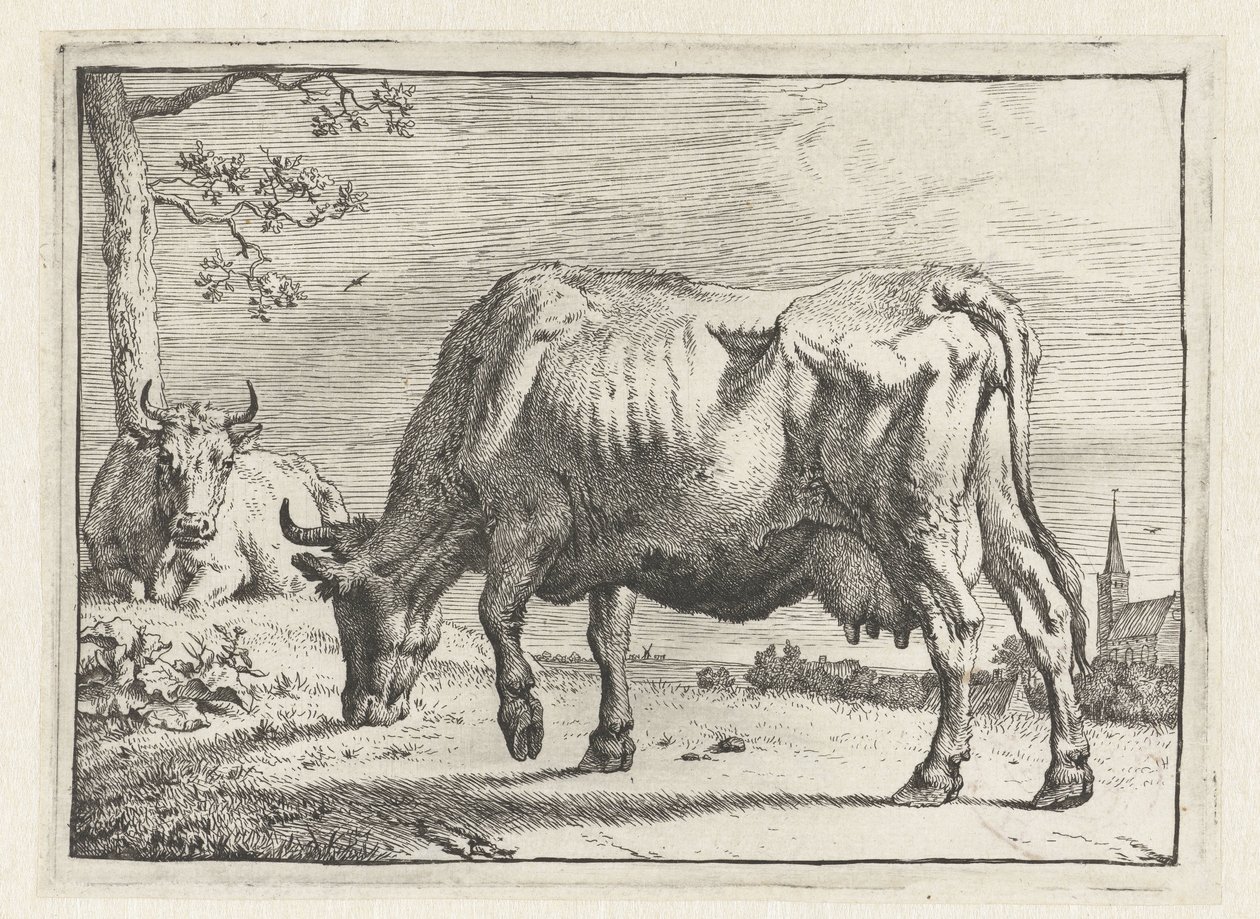 legelő tehén The Bullen füzet (sorozat címe) alkotó: Paulus Potter