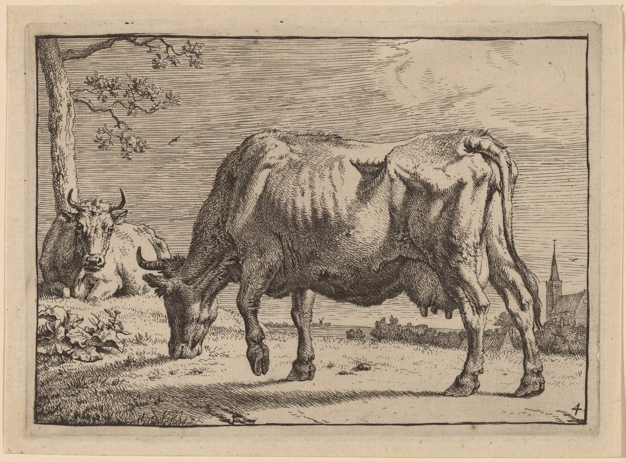 Legelő tehén alkotó: Paulus Potter