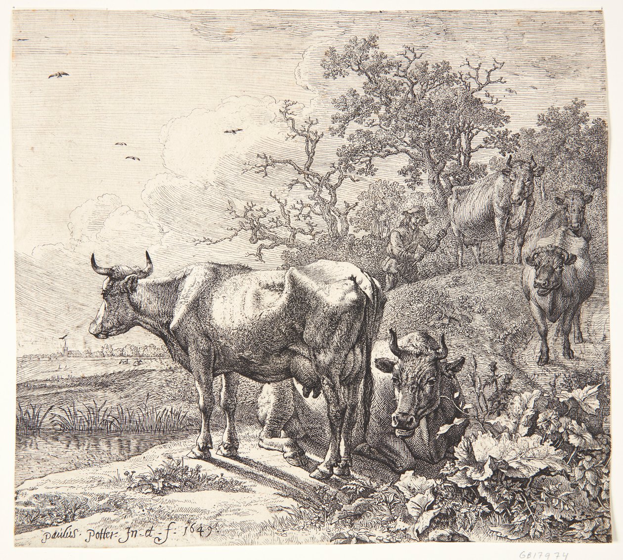 A Kohyrden alkotó: Paulus Potter