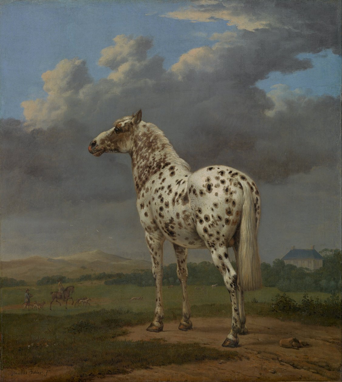 Piebald Horse, 1654 körül alkotó: Paulus Potter