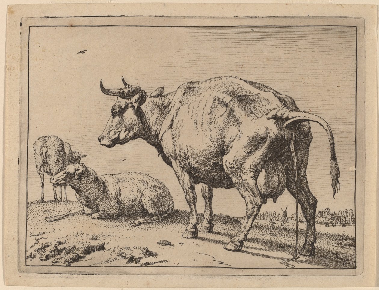 Pissing Tehén alkotó: Paulus Potter