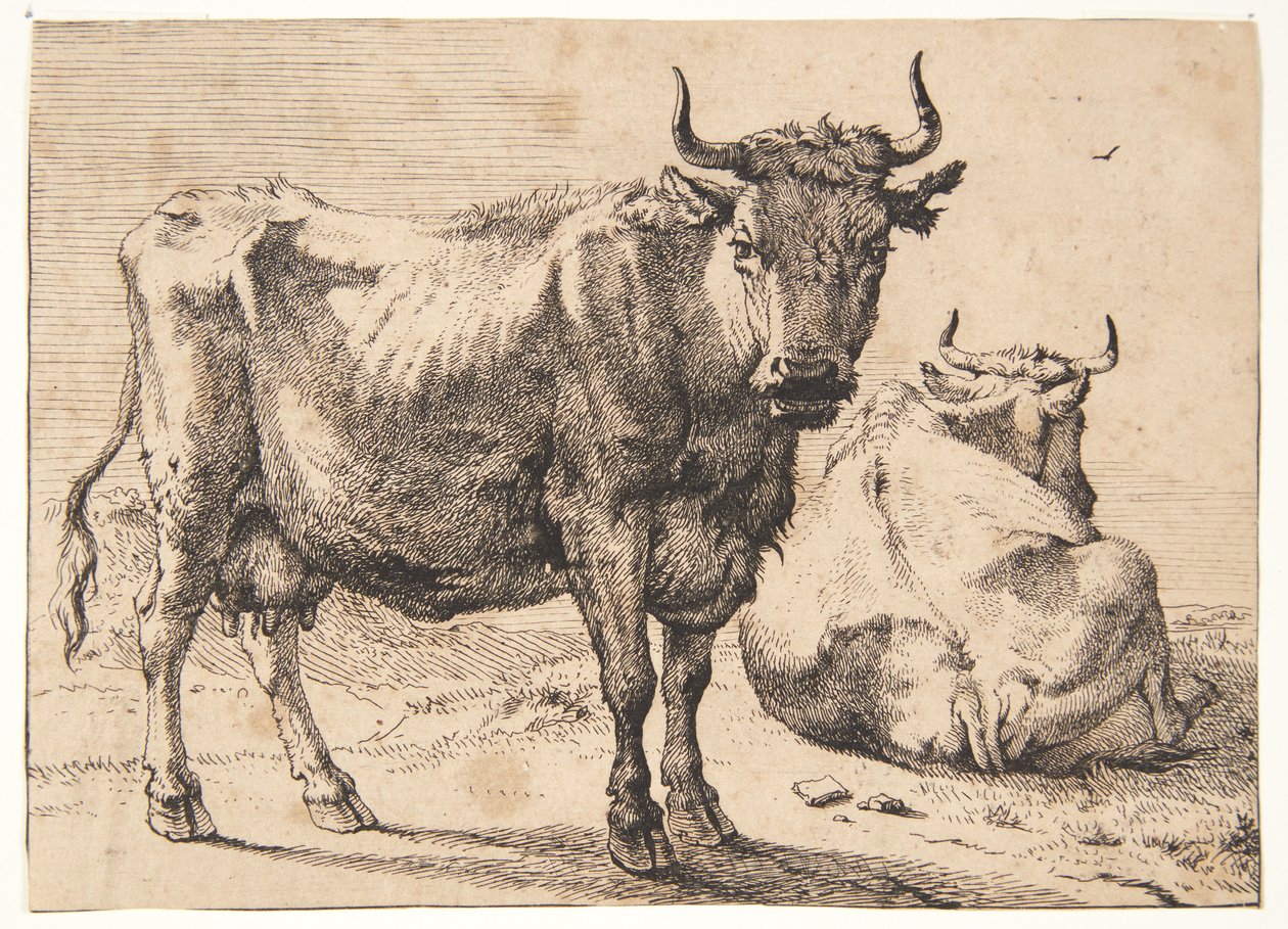 Álló és fekvő tehén alkotó: Paulus Potter