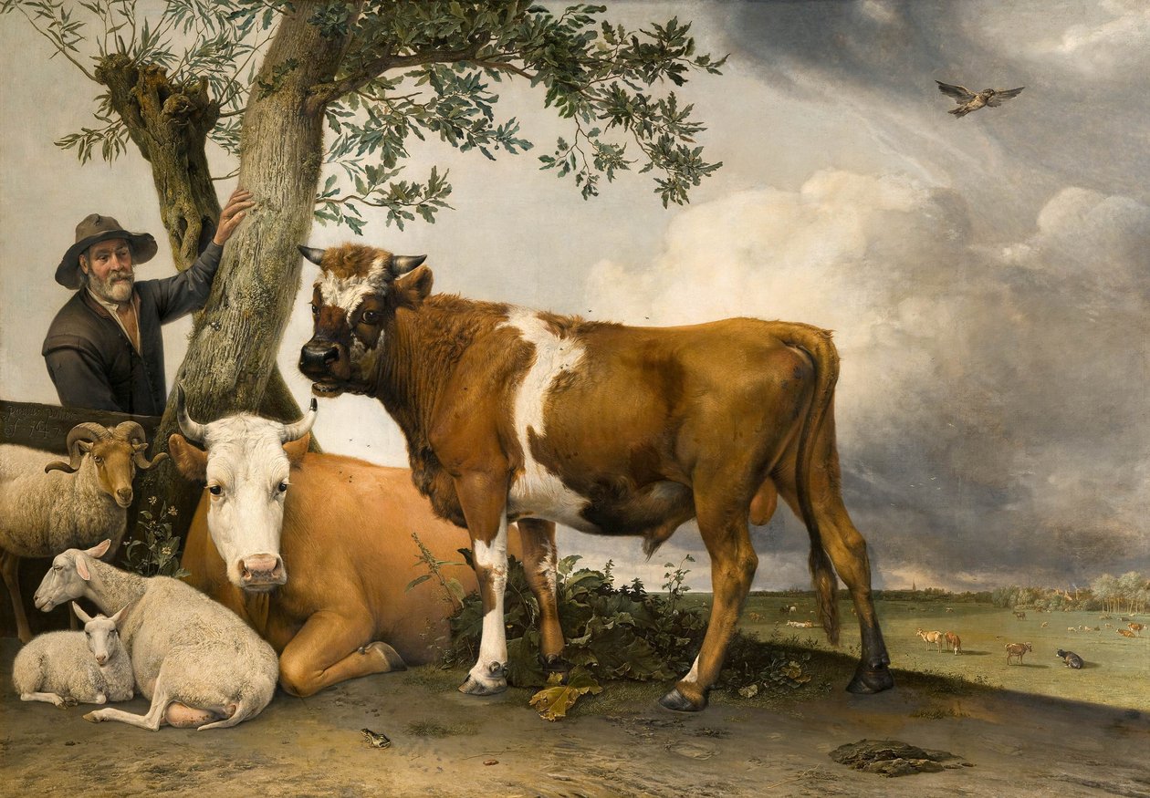 A bika alkotó: Paulus Potter