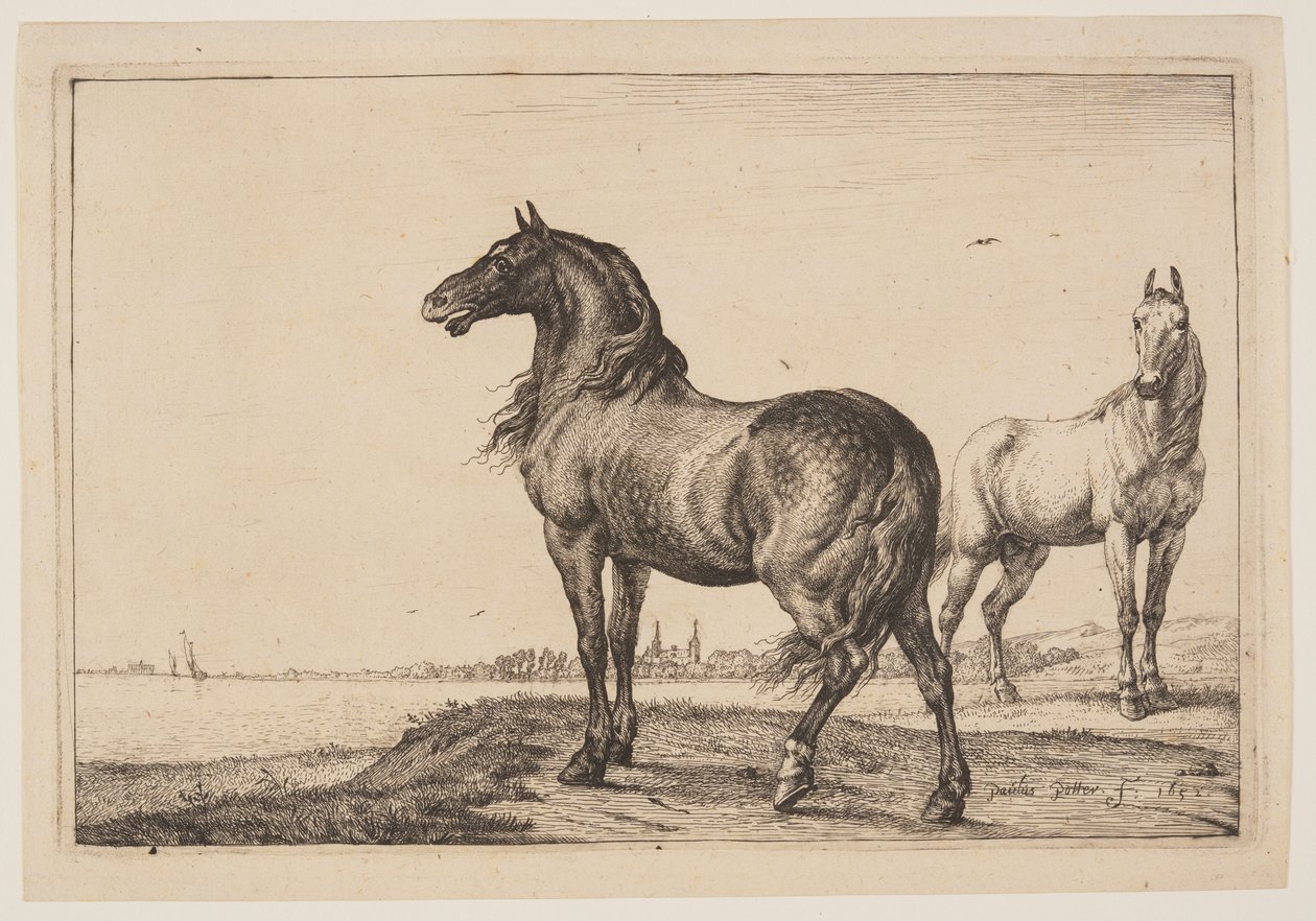 The Cropped Horse, a Lovak sorozatból alkotó: Paulus Potter