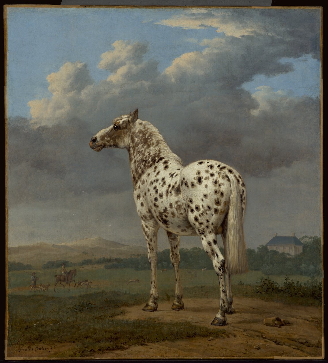 A "Piebald" ló, 1650-1654 körül (Olaj, vászon) alkotó: Paulus Potter