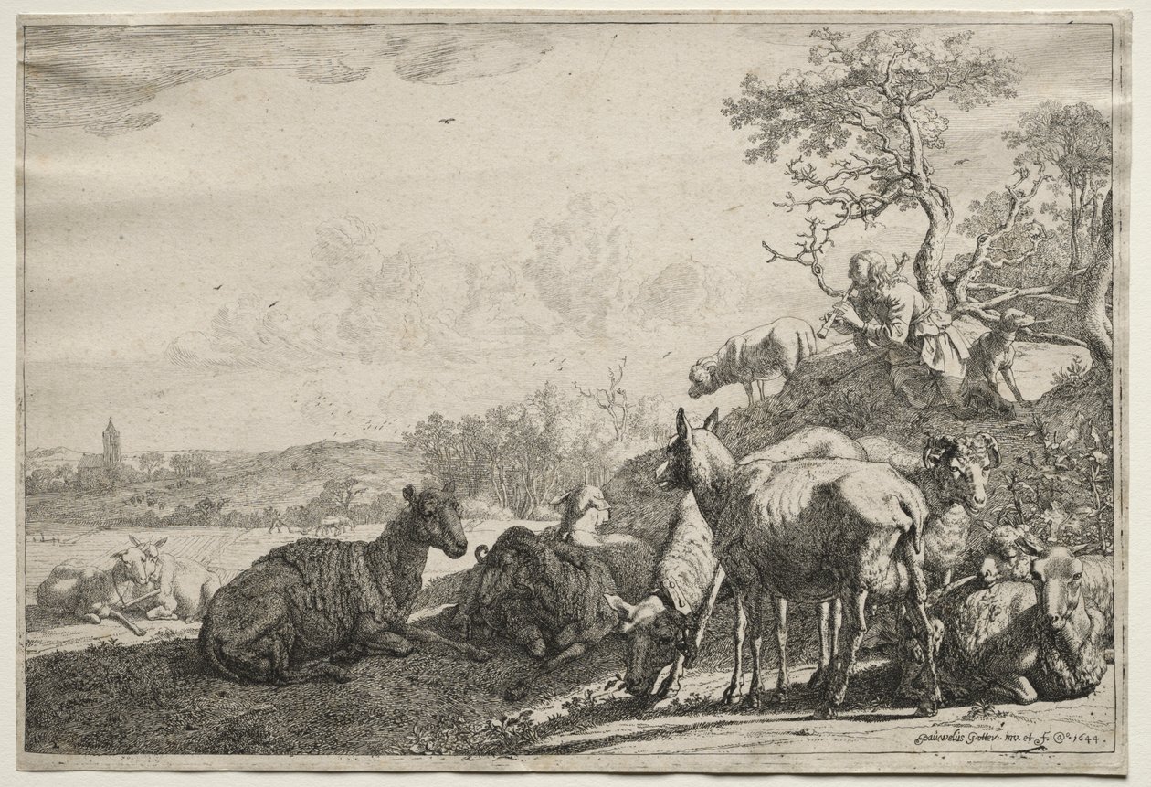 A Juhász alkotó: Paulus Potter
