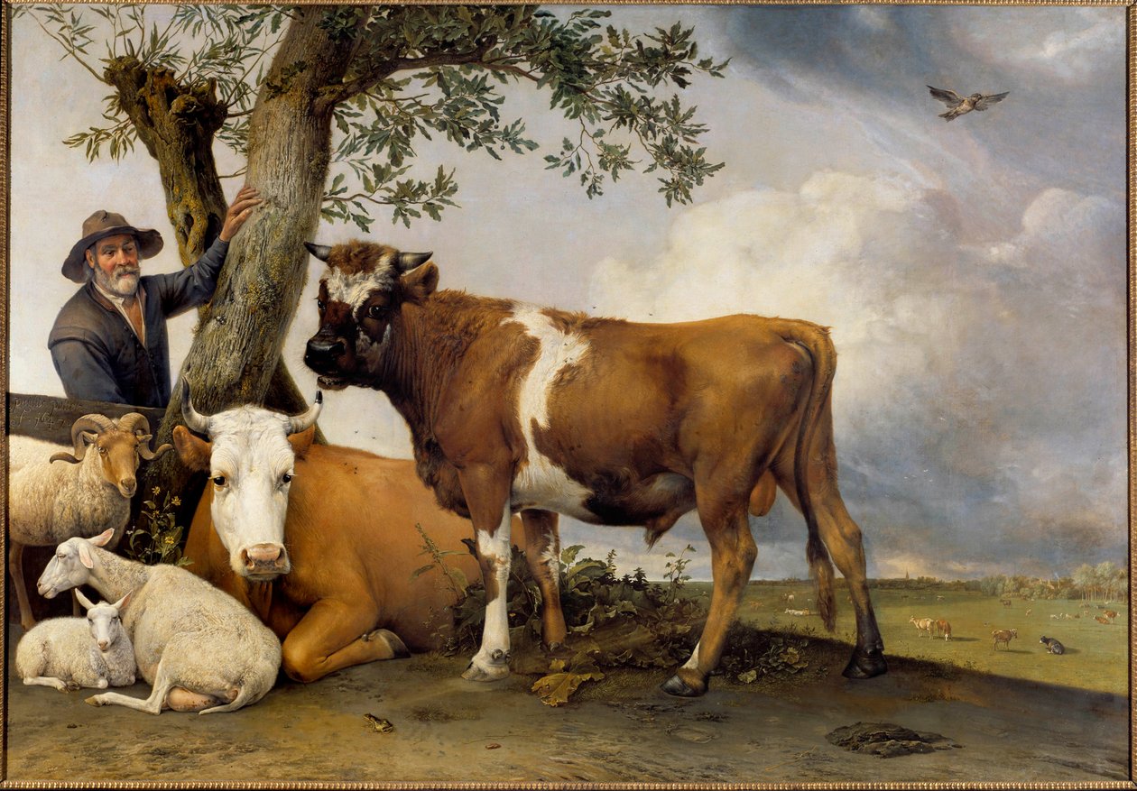 A fiatal bika Pásztor és szarvasmarhái, hamisító, bárány, tehén és bika. Paul Potter (1625-1654) festménye 1647 V. 2,36x3,39 m Hága. Mauritshuis alkotó: Paulus Potter