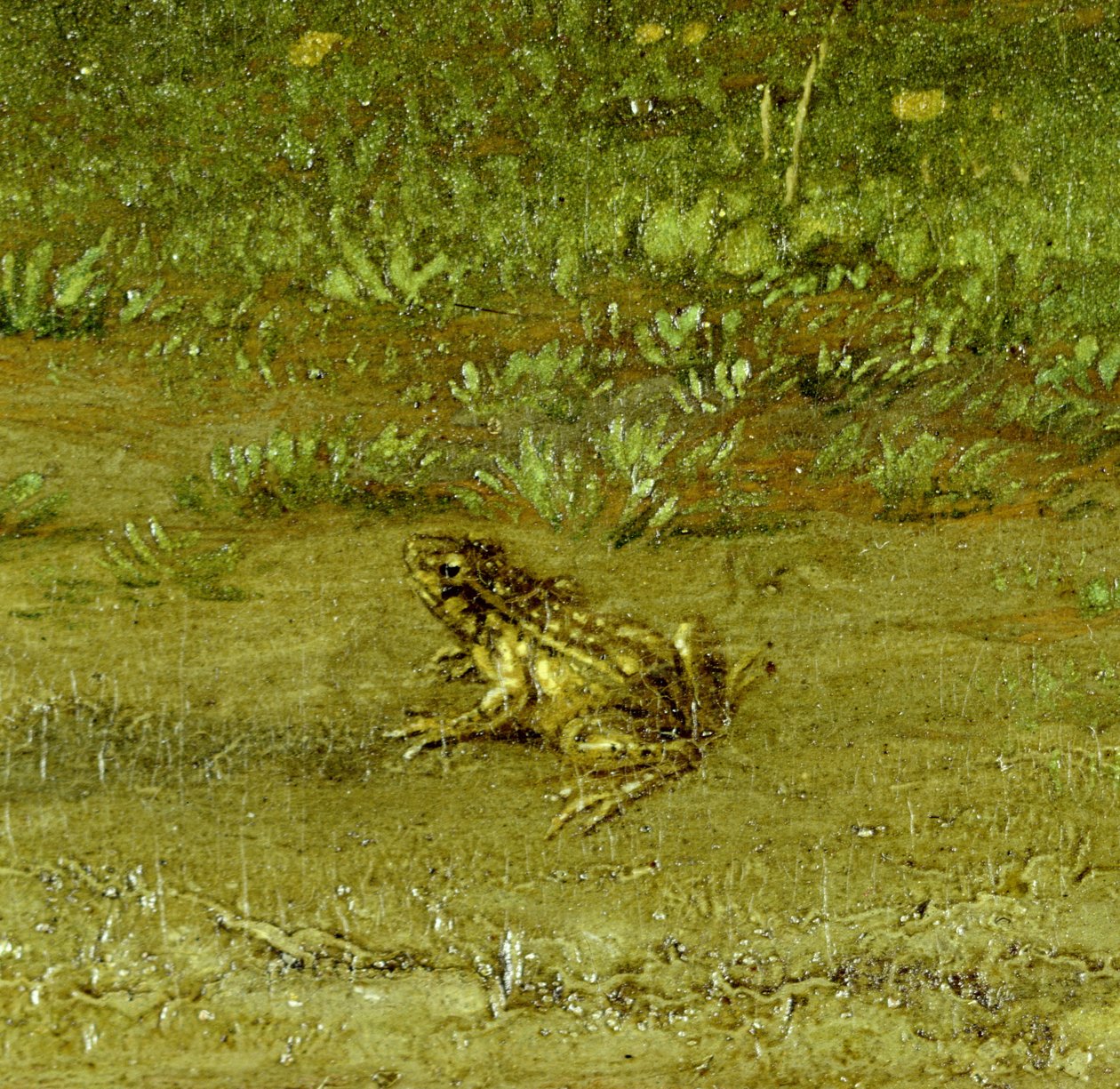 Varangy, Egy honfitárs a csordájával részlet, 1648 (lásd: 242089) alkotó: Paulus Potter