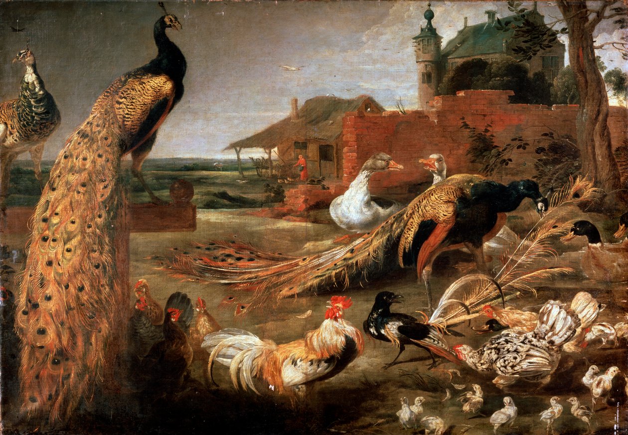 „Varjú a páva apjaiban”, 1615-1690 alkotó: Pauwel de Vos