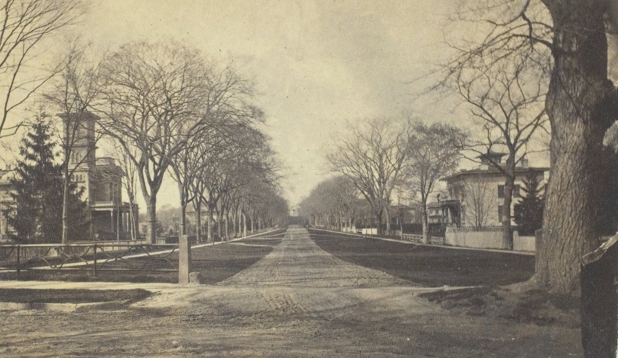 Hillhouse Avenue, 19. század. alkotó: Peck Brothers