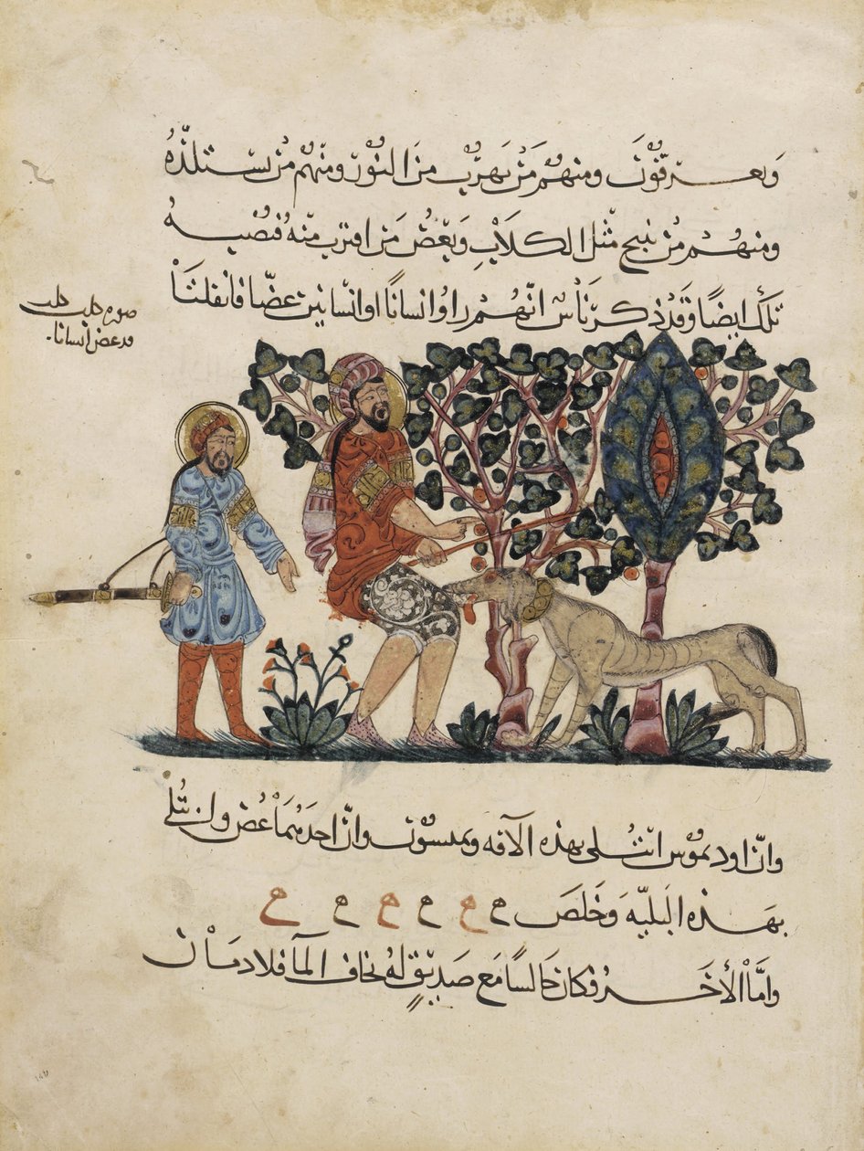 Folio a Materia Medica Dioscorides arab fordításából alkotó: Pedanius Dioscorides