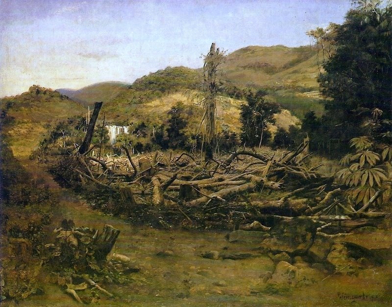 Fák kivágása alkotó: Pedro Weingärtner