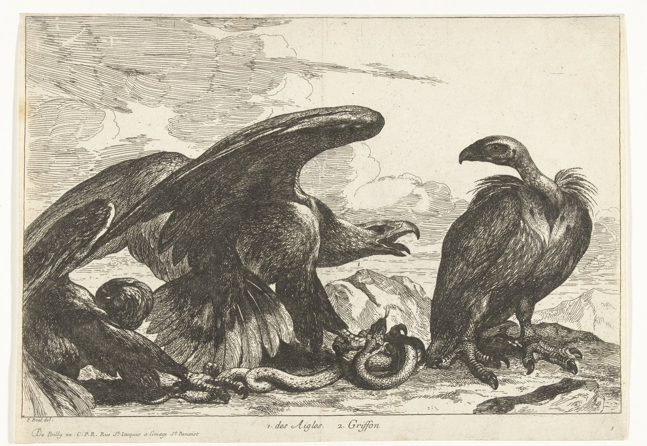 Keselyű és egy sas kígyóval 1. des Aigles 2. Griff (cím az objektumon) Madarak a Versailles-i menazsériából (sorozat címe) alkotó: Peeter Boel (attributed to)