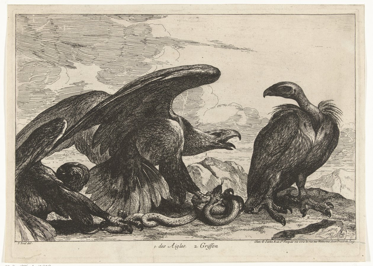 Keselyű és egy sas kígyóval 1. des Aigles 2. Griff (cím az objektumon) Madarak a versailles-i menazsériából (sorozat címe) alkotó: Peeter Boel (attributed to)