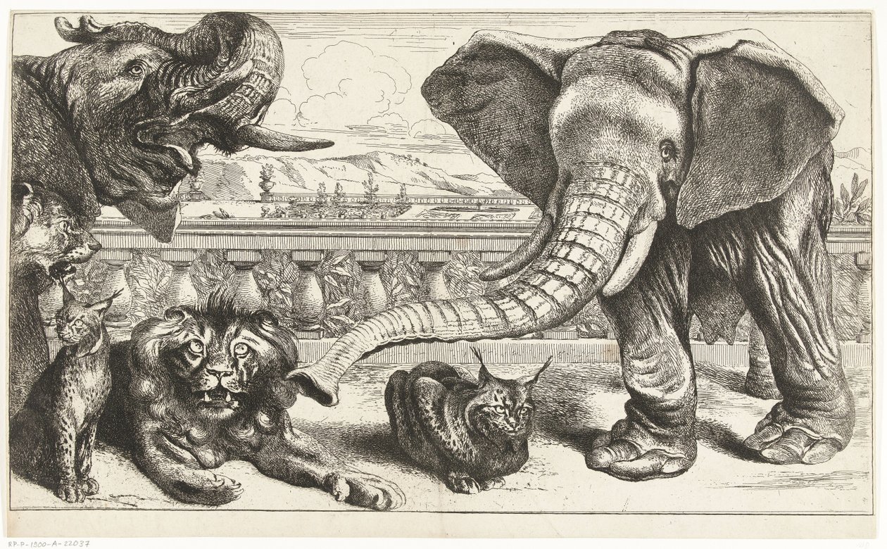 Elefántok, oroszlánok és hiúzok Versailles kertjében alkotó: Peeter Boel (attributed to)
