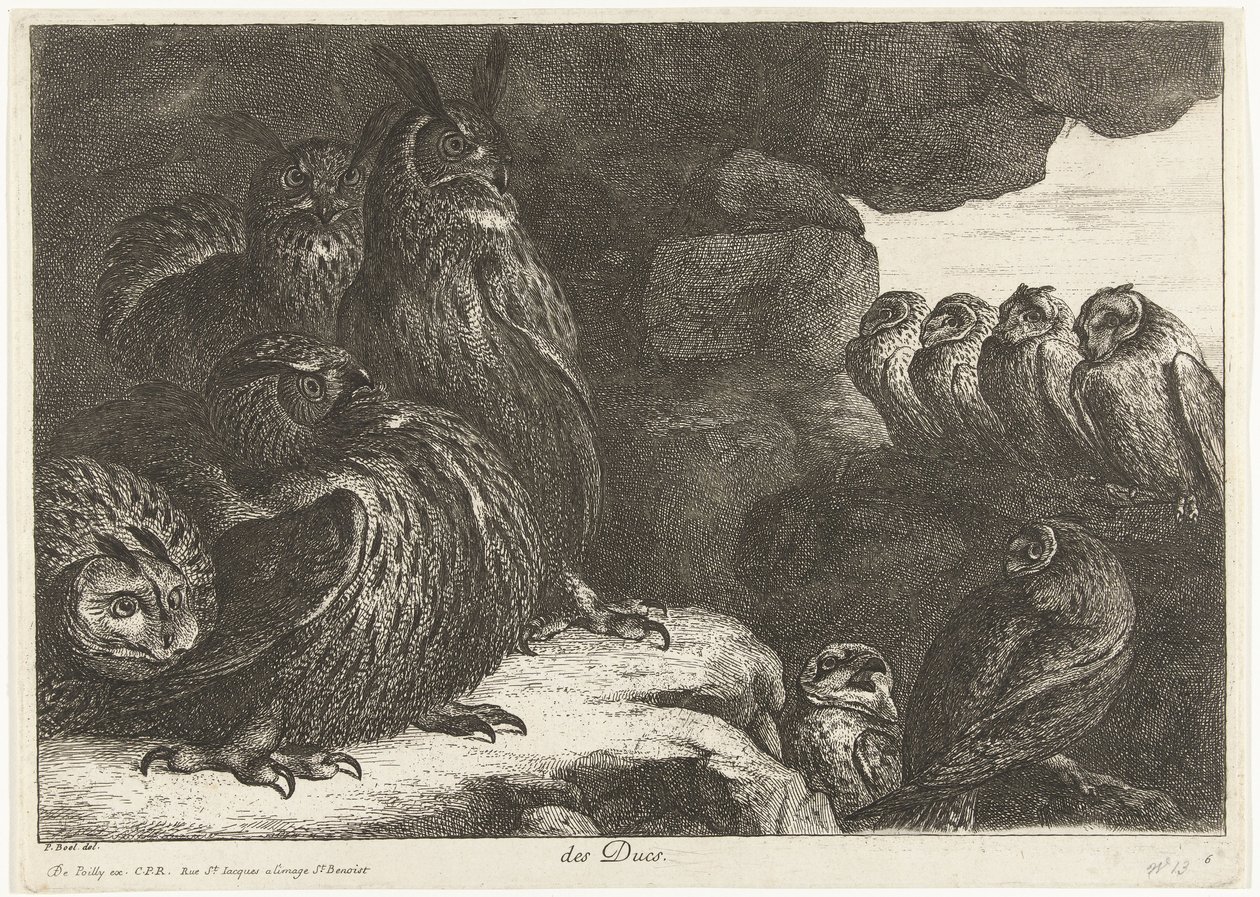 Baglyok egy barlangban des Ducs (cím az objektumon) Madarak a Versailles-i menazsériából (sorozat címe) alkotó: Peeter Boel (attributed to)