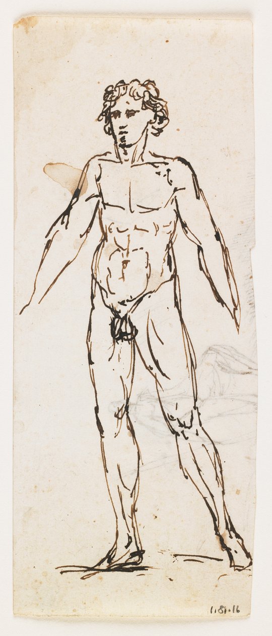 Standing Nude Male (toll és barna tinta, papír) alkotó: Pelagio Palagi
