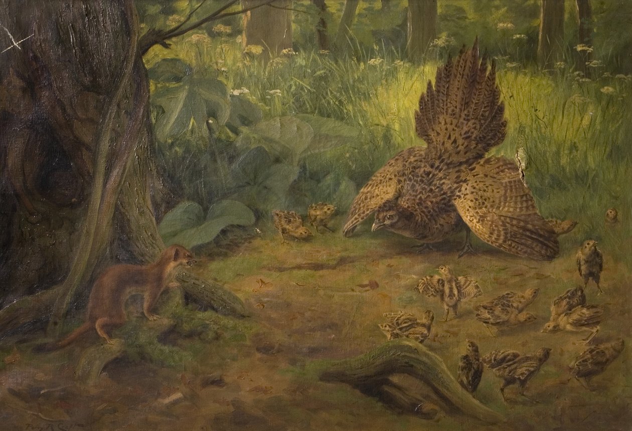 Védekezés, nem dac, XX. század eleje alkotó: Percy Robert Craft