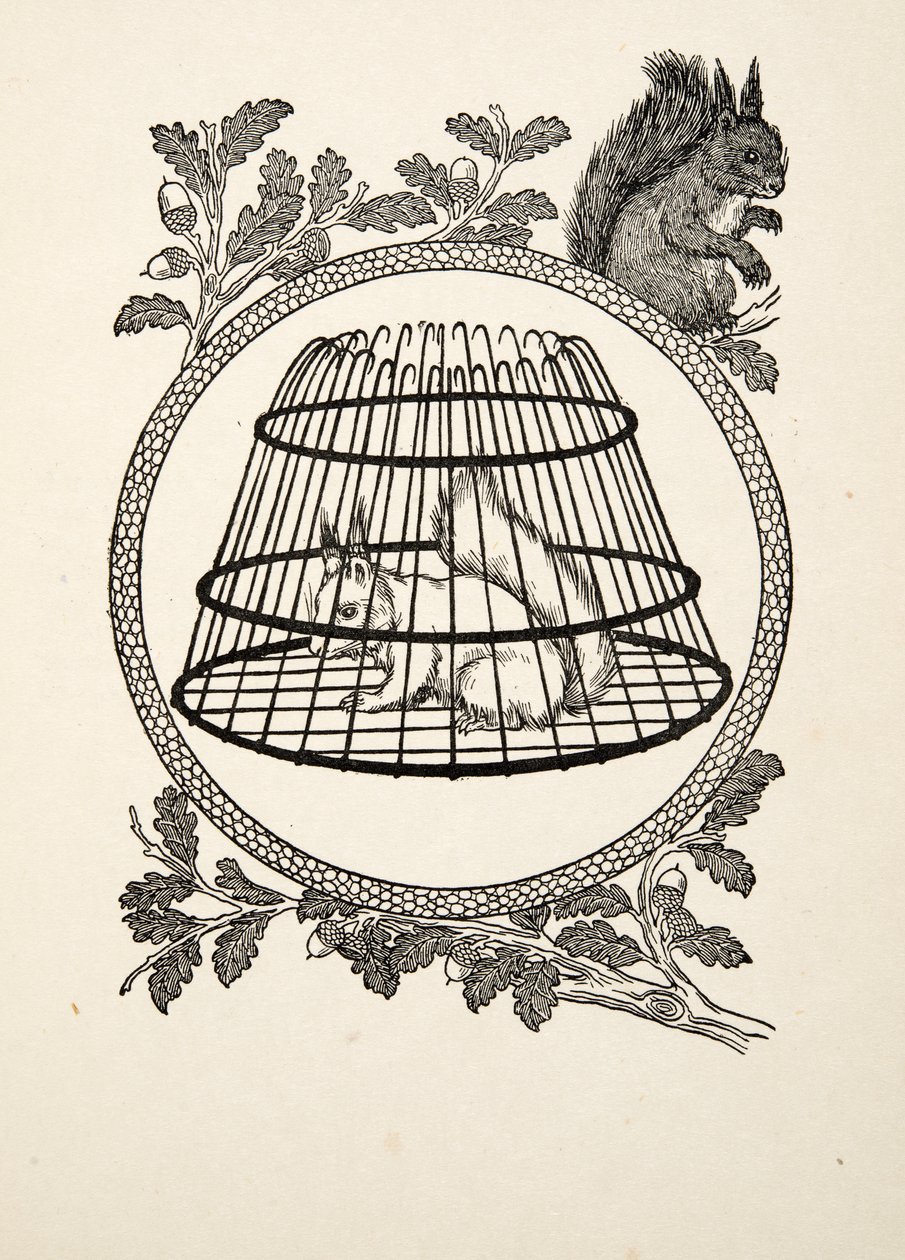 Egy menekült mókus, az Állatok száz anekdotájából, kocsma. 1924 alkotó: Percy J. Billingshurst