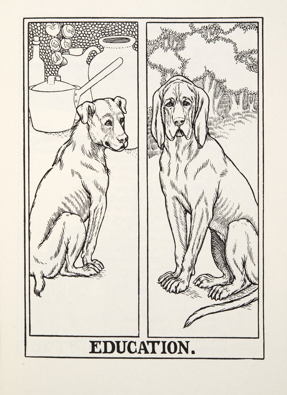 Oktatás, Fontaine Fables, pub. 1905 alkotó: Percy J. Billingshurst