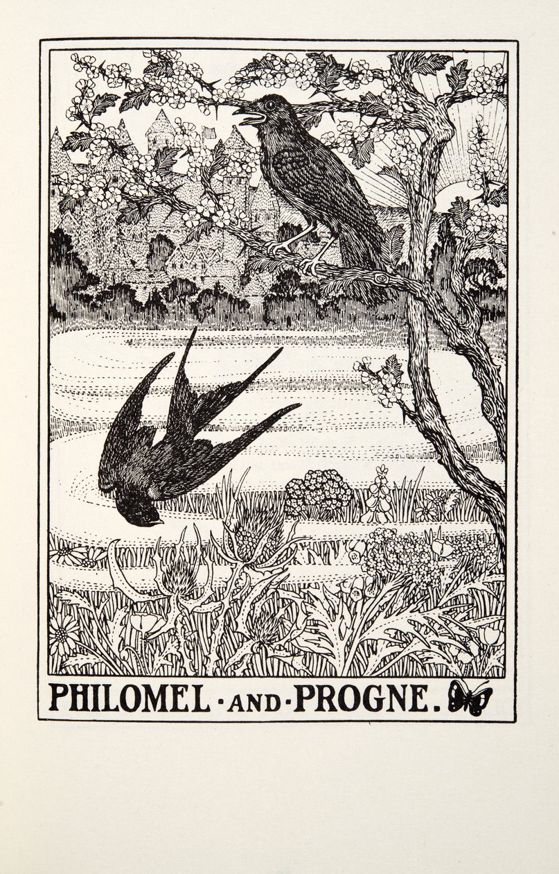 Philomel és Progne, a Fontaine Fables-től, pub. 1905 alkotó: Percy J. Billingshurst