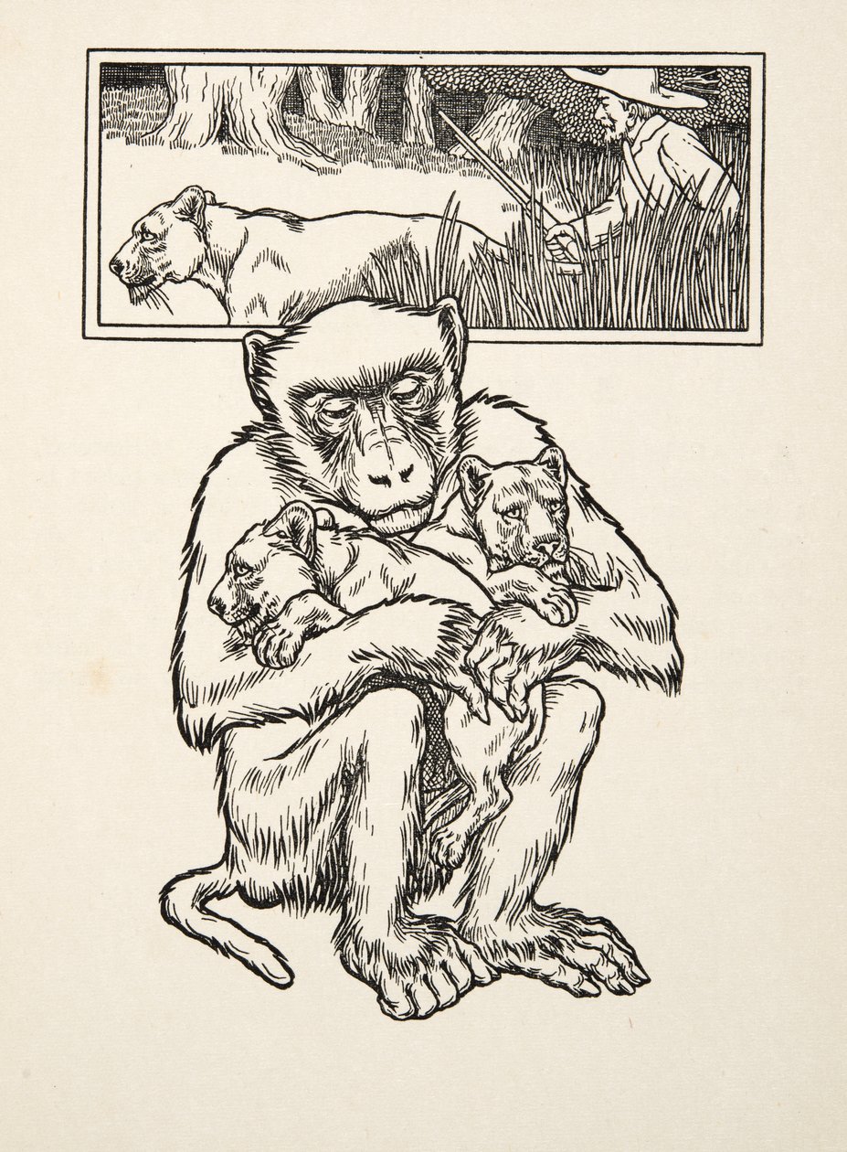 Segítségkérés, az Állatok száz anekdotájából, pub. 1924 (metszet) alkotó: Percy J. Billingshurst