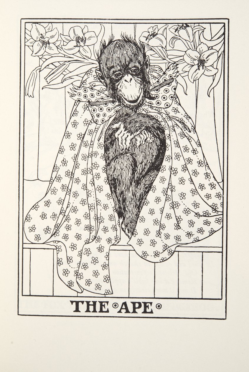 A majom, a Fontaine Fables-ből, pub. 1905 alkotó: Percy J. Billingshurst
