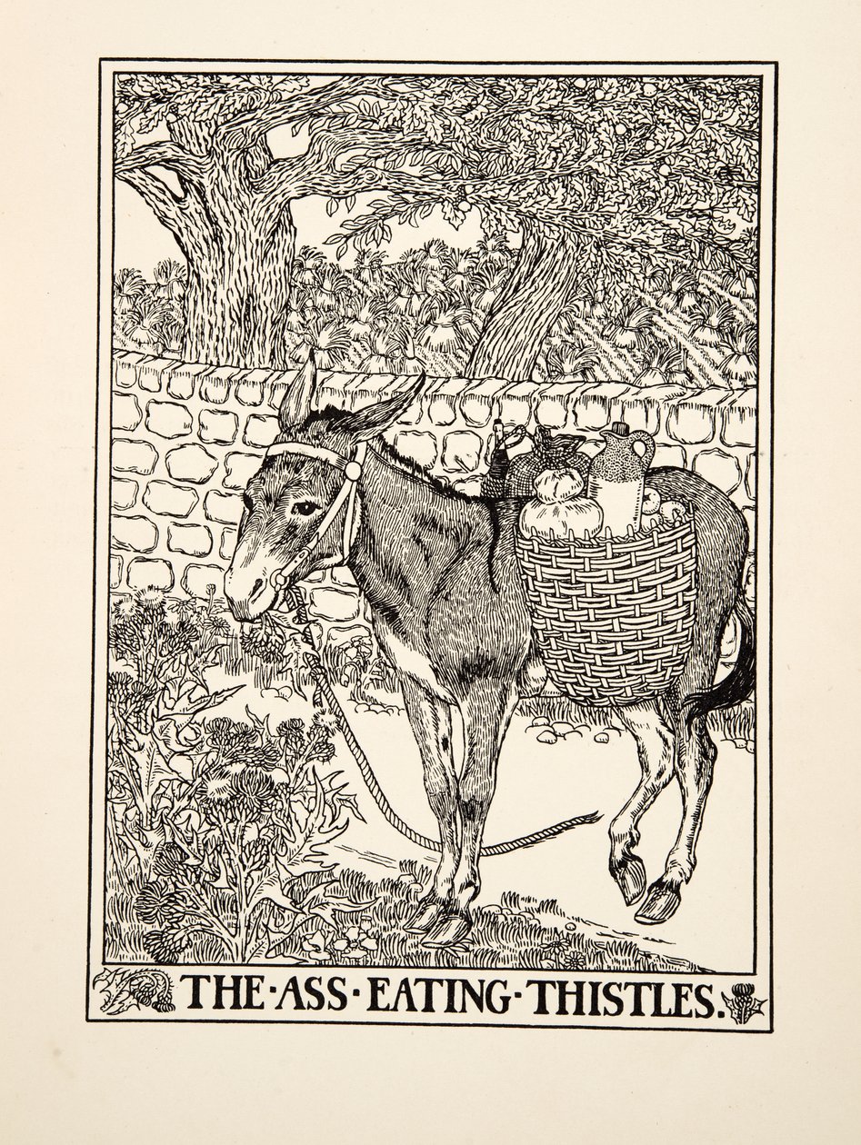 A bogáncsot evő szamár, A Hundred Fables of Aesopus, pub.1903 alkotó: Percy J. Billingshurst