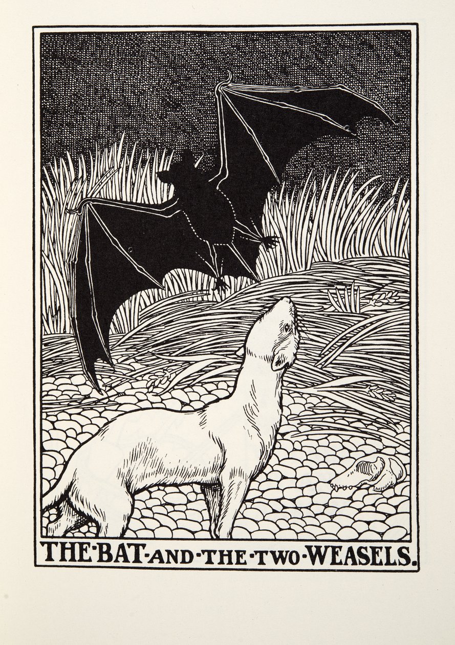 A denevér és a két menyét, a Fontaine Fables-ből, pub. 1905 alkotó: Percy J. Billingshurst