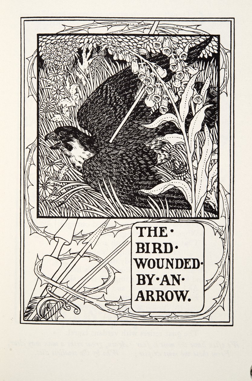 A nyíl által megsebesített madár, a Fontaine Fables, kocsma. 1905 alkotó: Percy J. Billingshurst