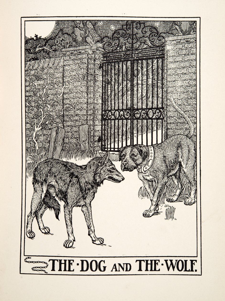 A kutya és a farkas, A Hundred Fables of Aesopus, pub.1903 (metszet) alkotó: Percy J. Billingshurst
