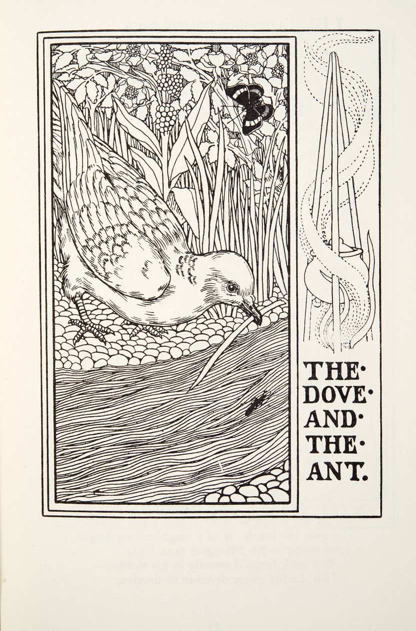 A galamb és a hangya, a Fontaine Fables-ből, pub. 1905 alkotó: Percy J. Billingshurst