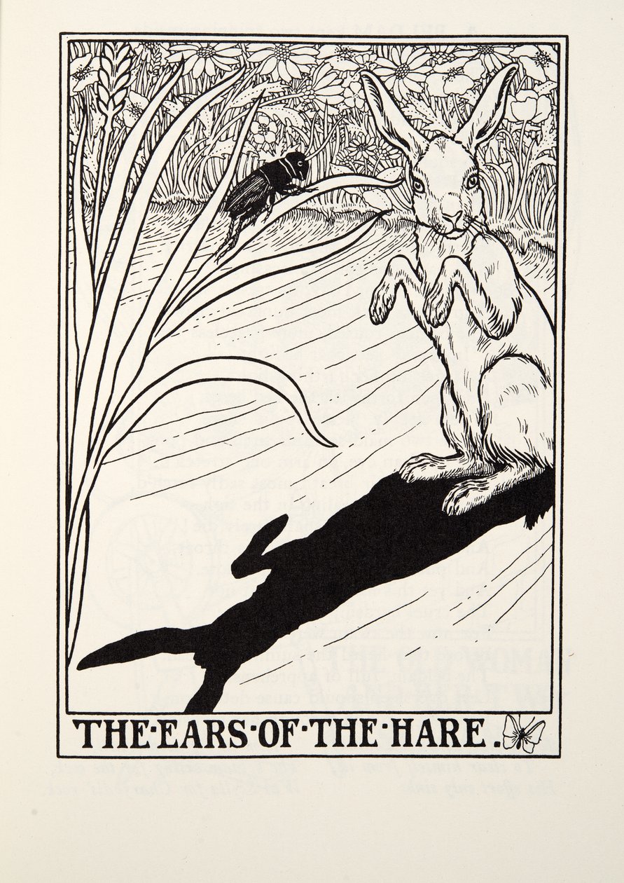 The Ears of the Hare, Fontaine Fables, pub. 1905 alkotó: Percy J. Billingshurst