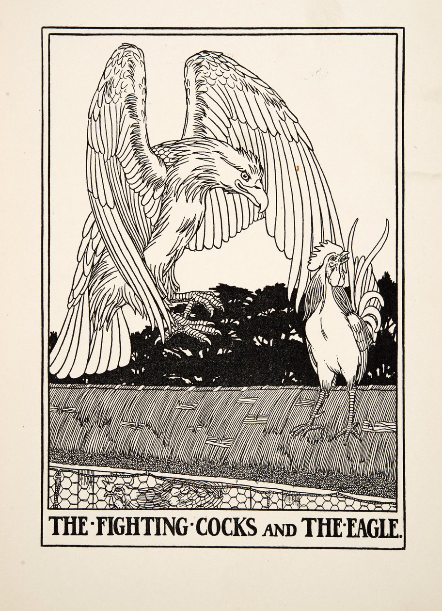 The Fighting Cocks and the Eagle, A Hundred Fables of Aesopus, pub.1903 alkotó: Percy J. Billingshurst