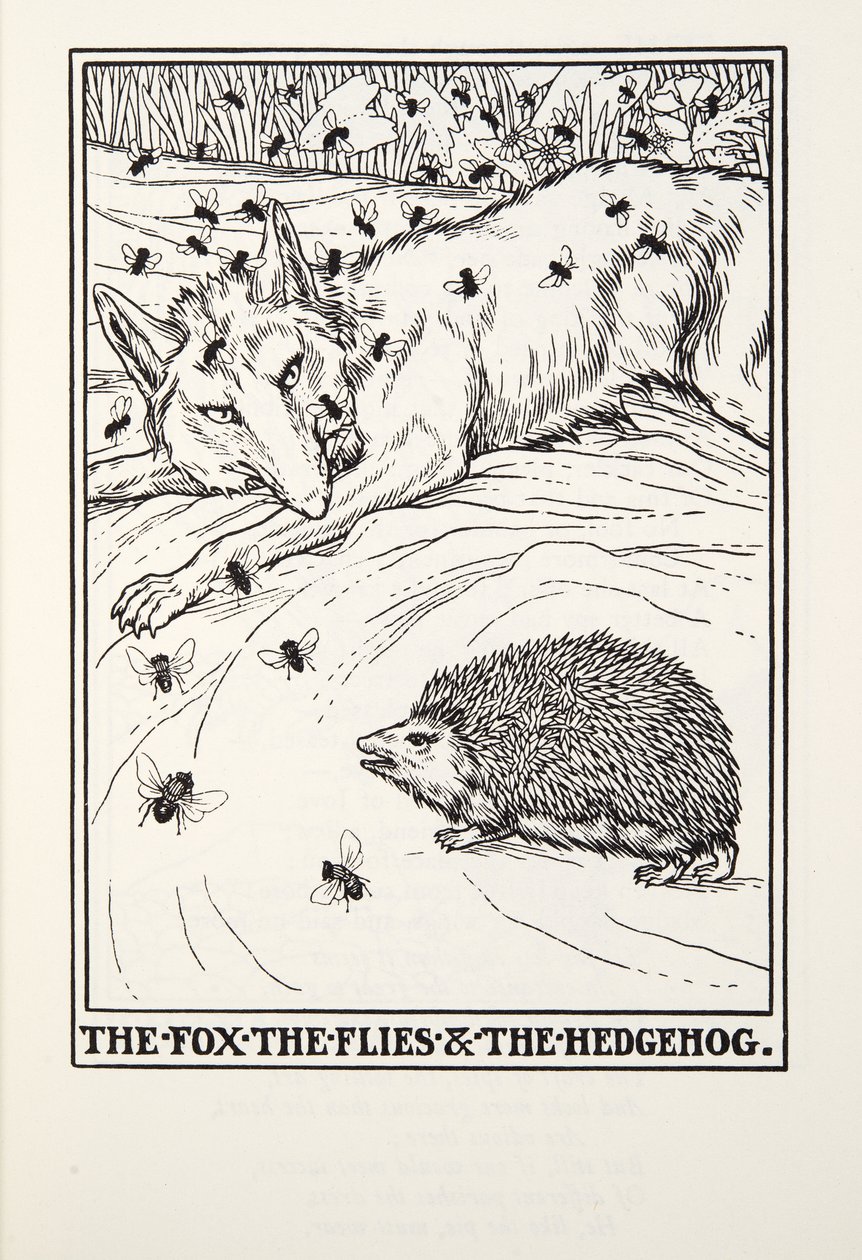 A róka, a legyek és a sündisznó, a Fontaine Fables-ből, pub. 1905 alkotó: Percy J. Billingshurst