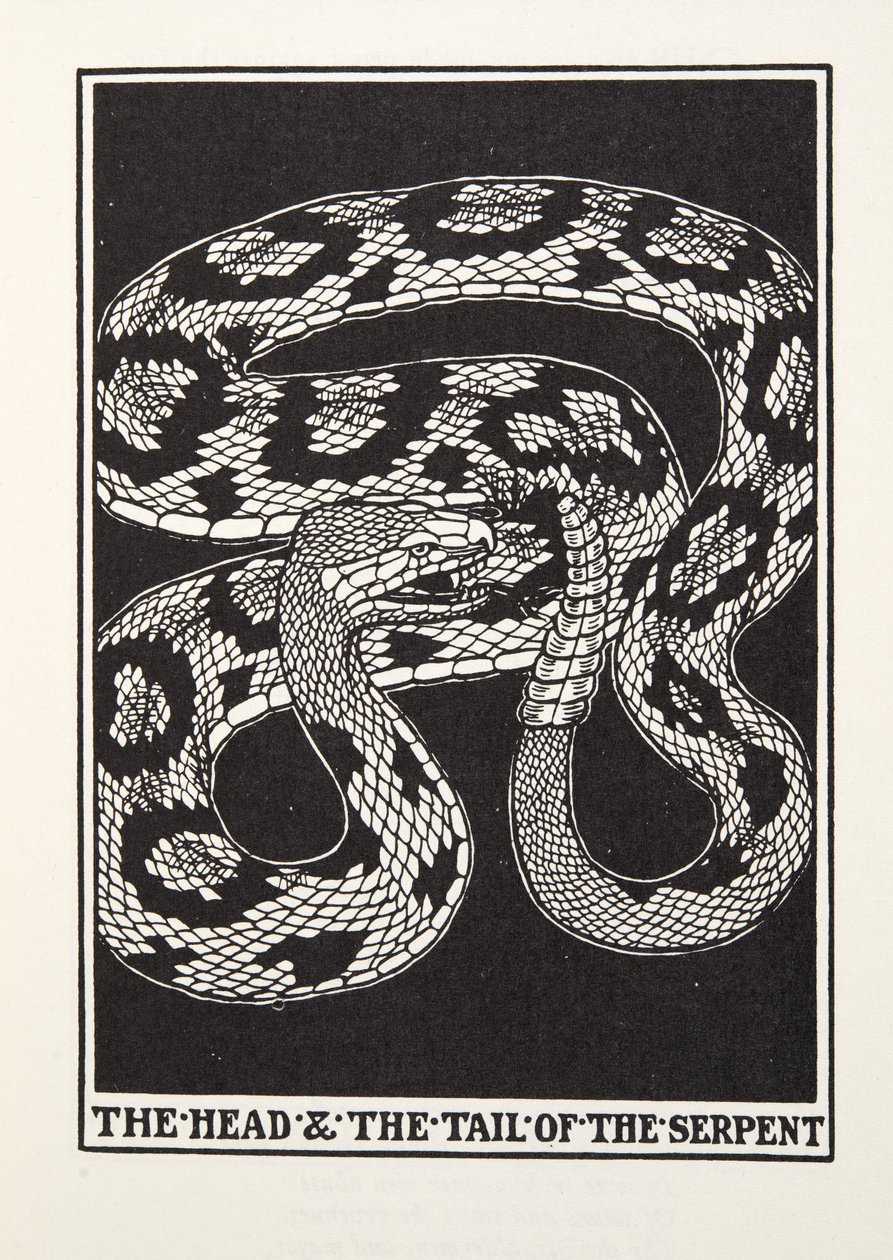 A kígyó feje és farka, a Fontaine Fables-ből, pub. 1905 (metszet) alkotó: Percy J. Billingshurst